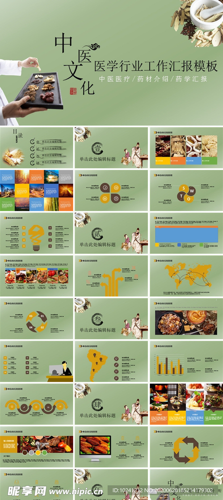 中医医学行业工作汇报模板