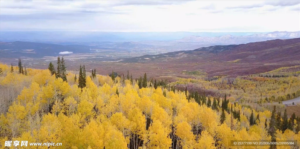 航拍秋天森林风光