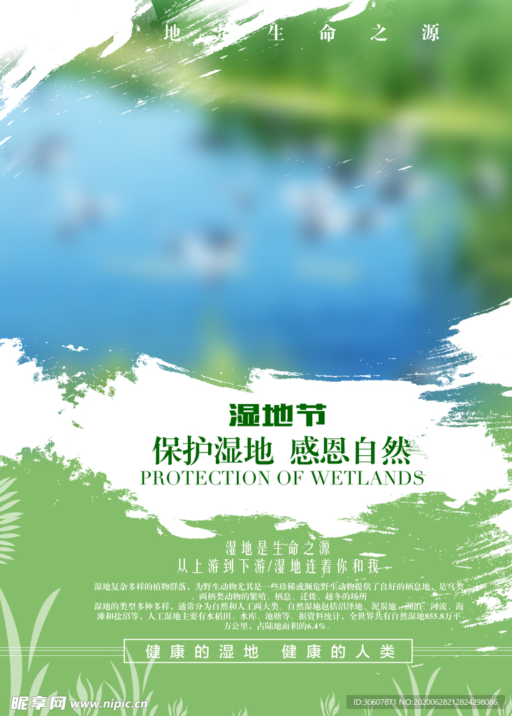 湿地海报