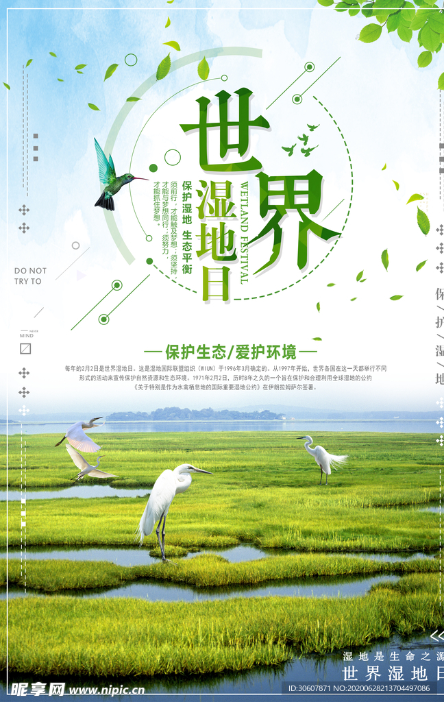 湿地海报