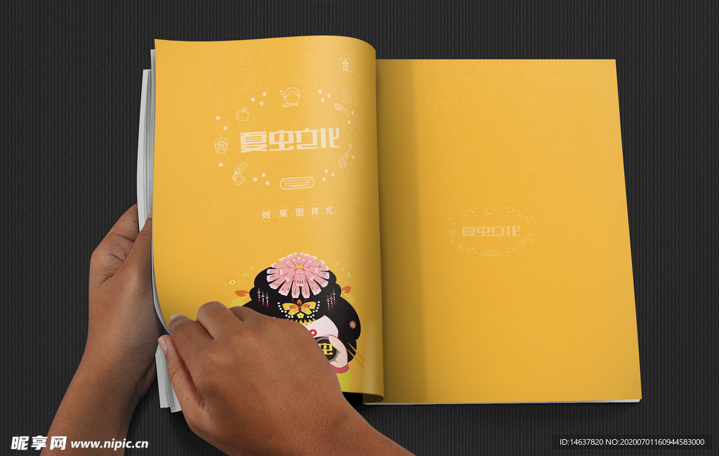 画册样机