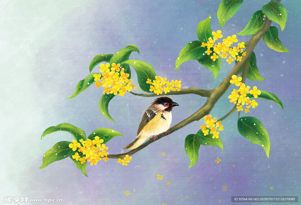 桂花小鸟传统插画卡通背景素材