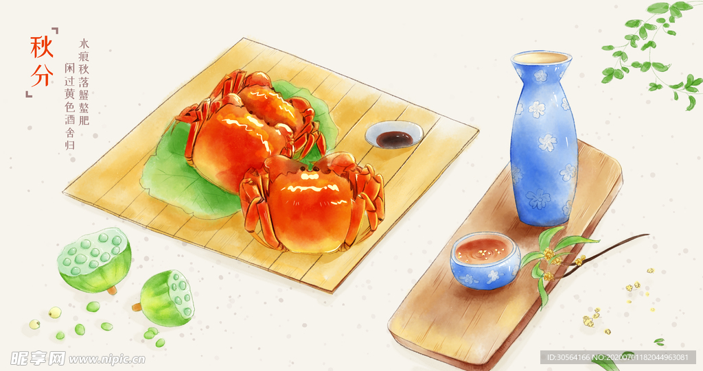 螃蟹蟹礼中秋菊花插画卡通背景