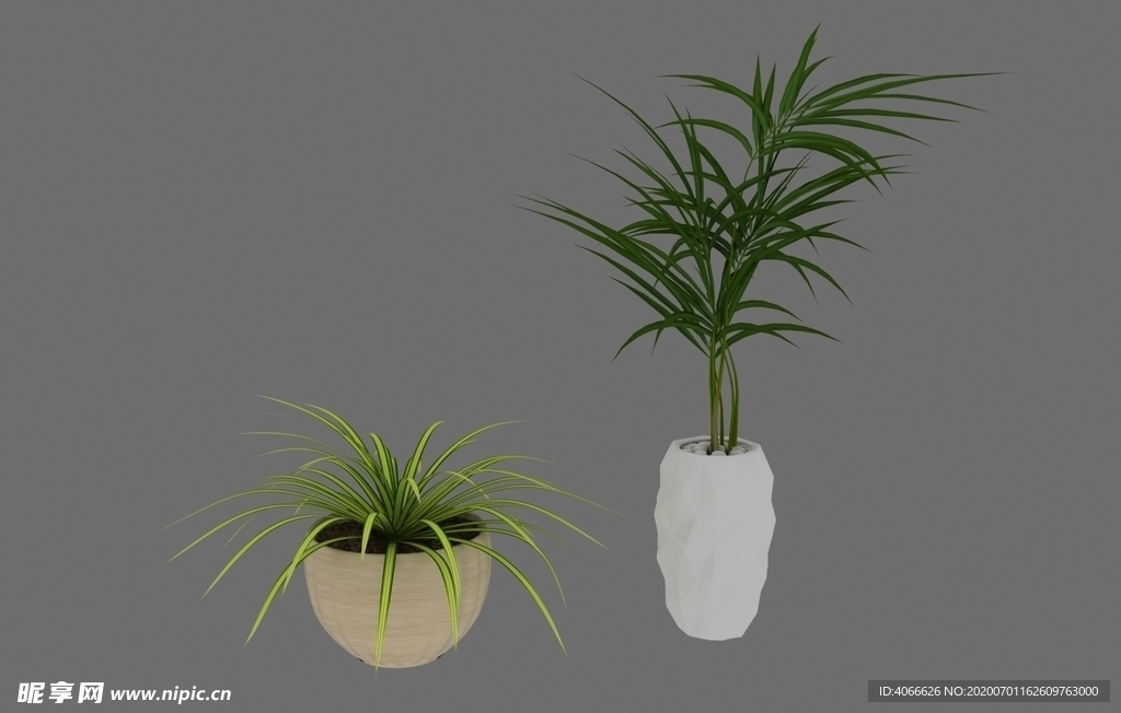 植物盆栽3d模型