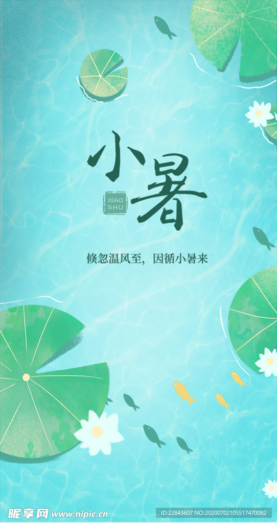 小暑节气海报