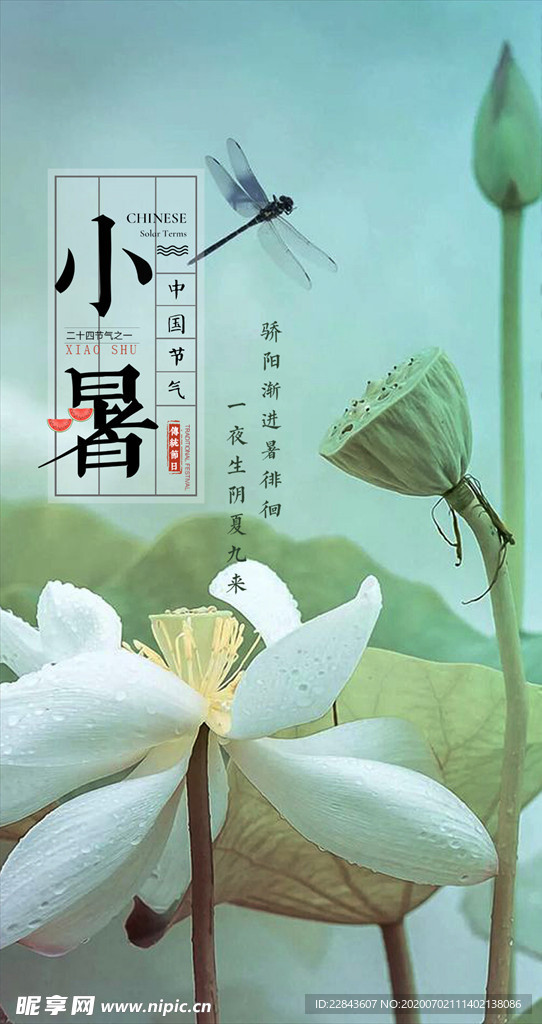 小暑节气海报