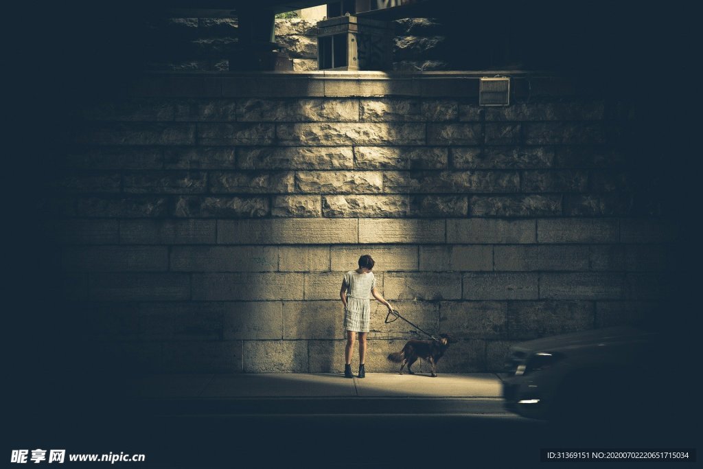 灯下的人与宠物