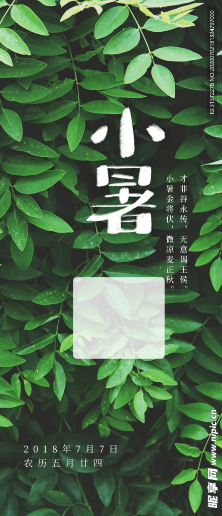 小暑 节气图片