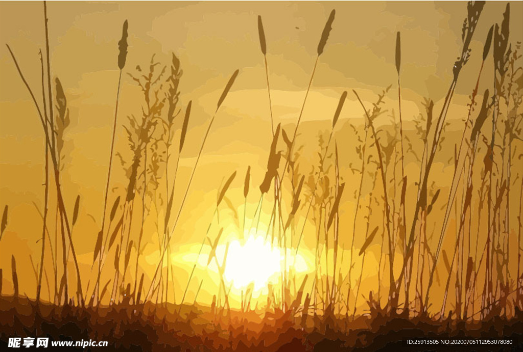 芦苇荡日出矢量插画