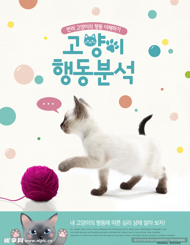 创意动物合成图片