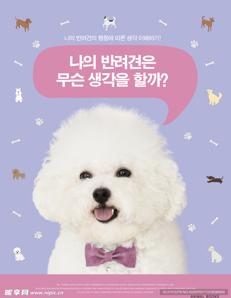 创意动物合成图片