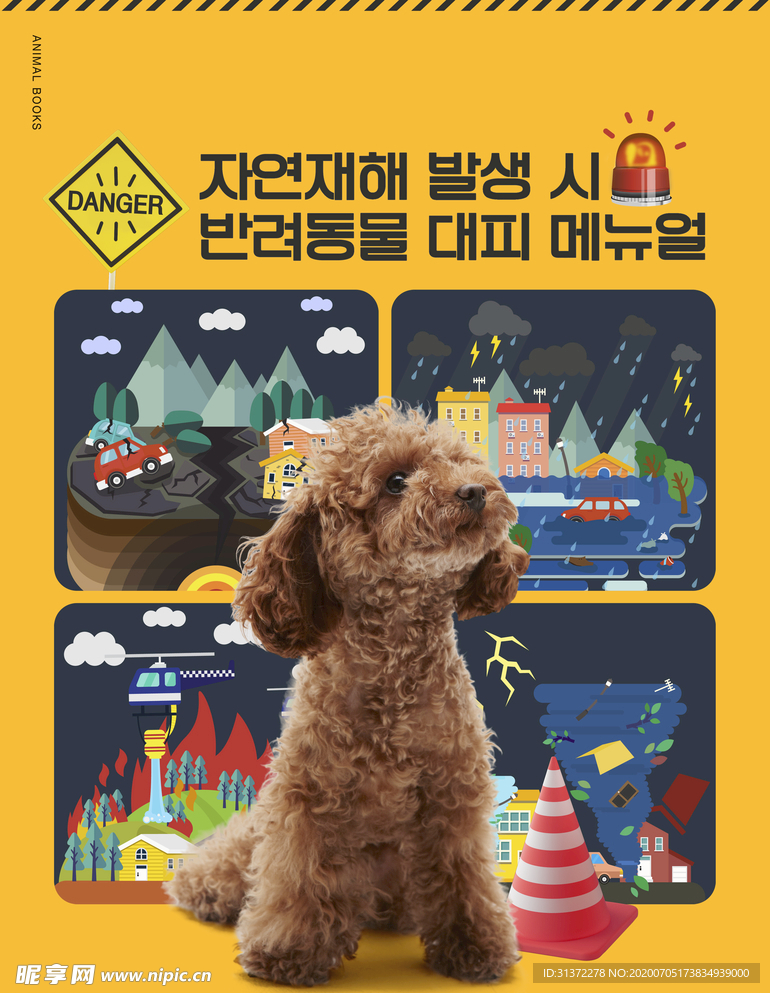 创意动物合成图片