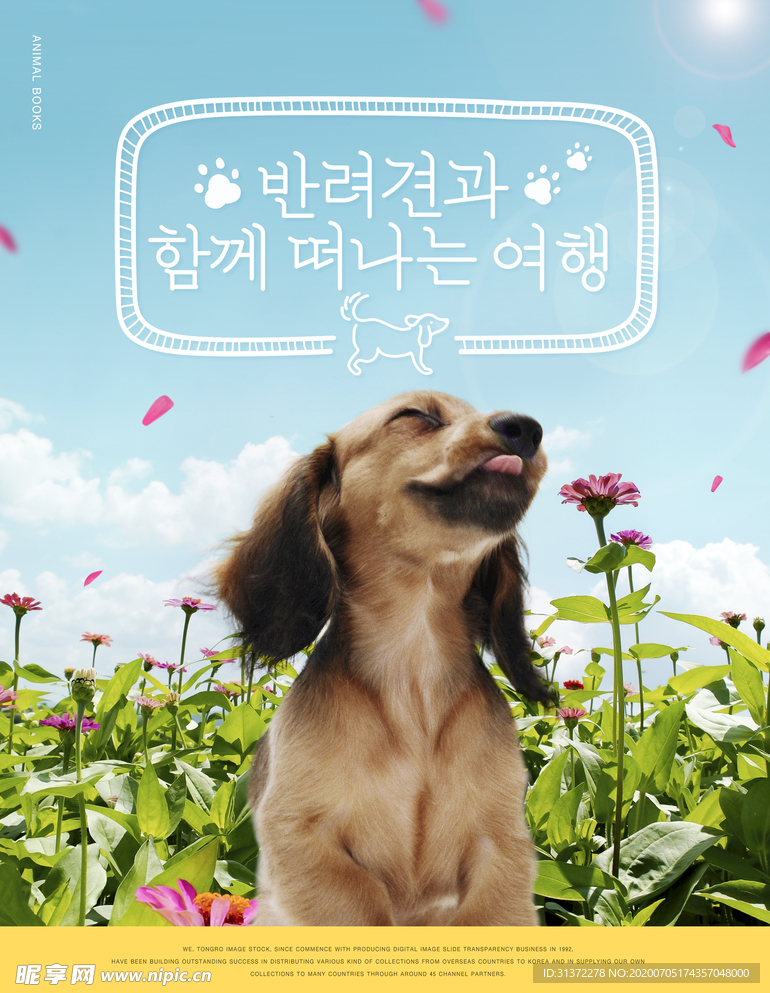 手绘卡通动物图片