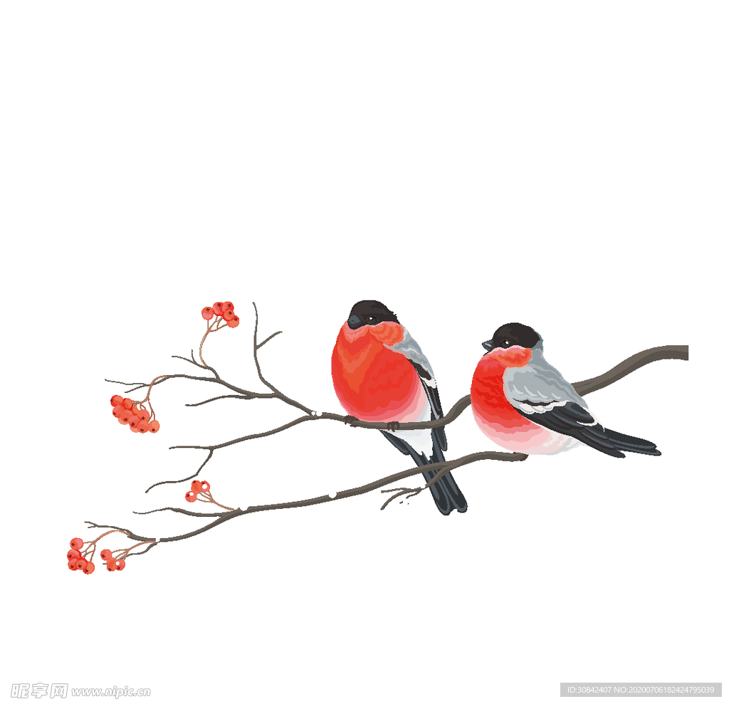 小鸟