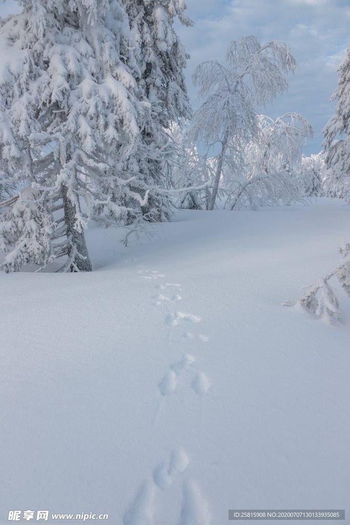 雪景图片