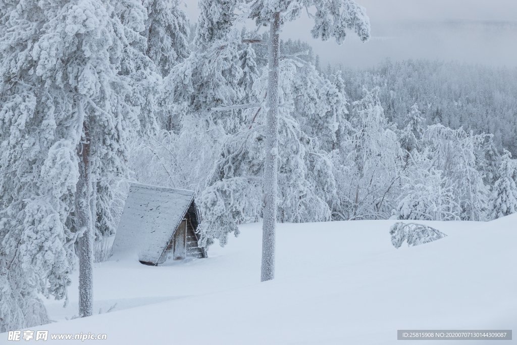雪景图片
