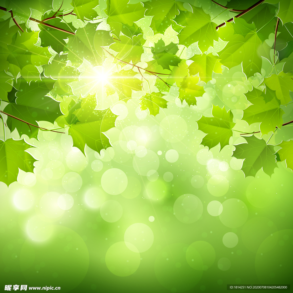 清新绿叶阳光环保背景