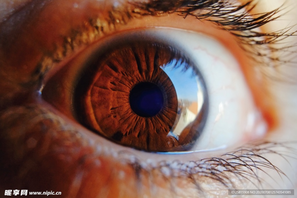 眼睛图片