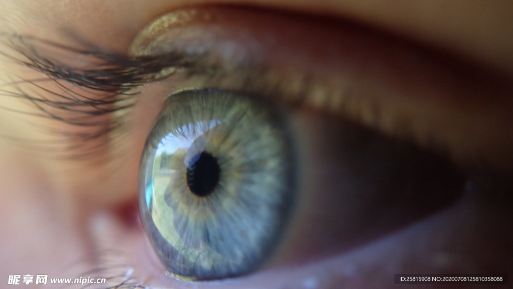 眼睛图片