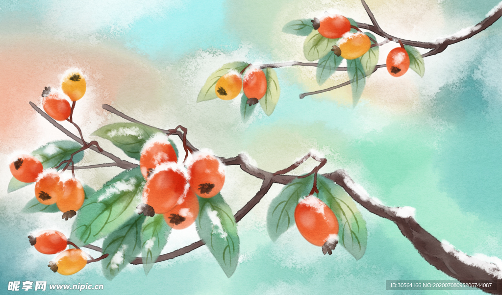 霜降柿子枝头清新插画素材