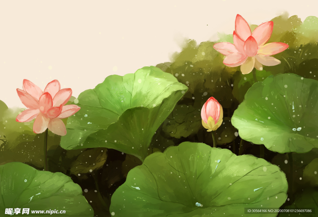 荷花荷叶夏季清新插画素材