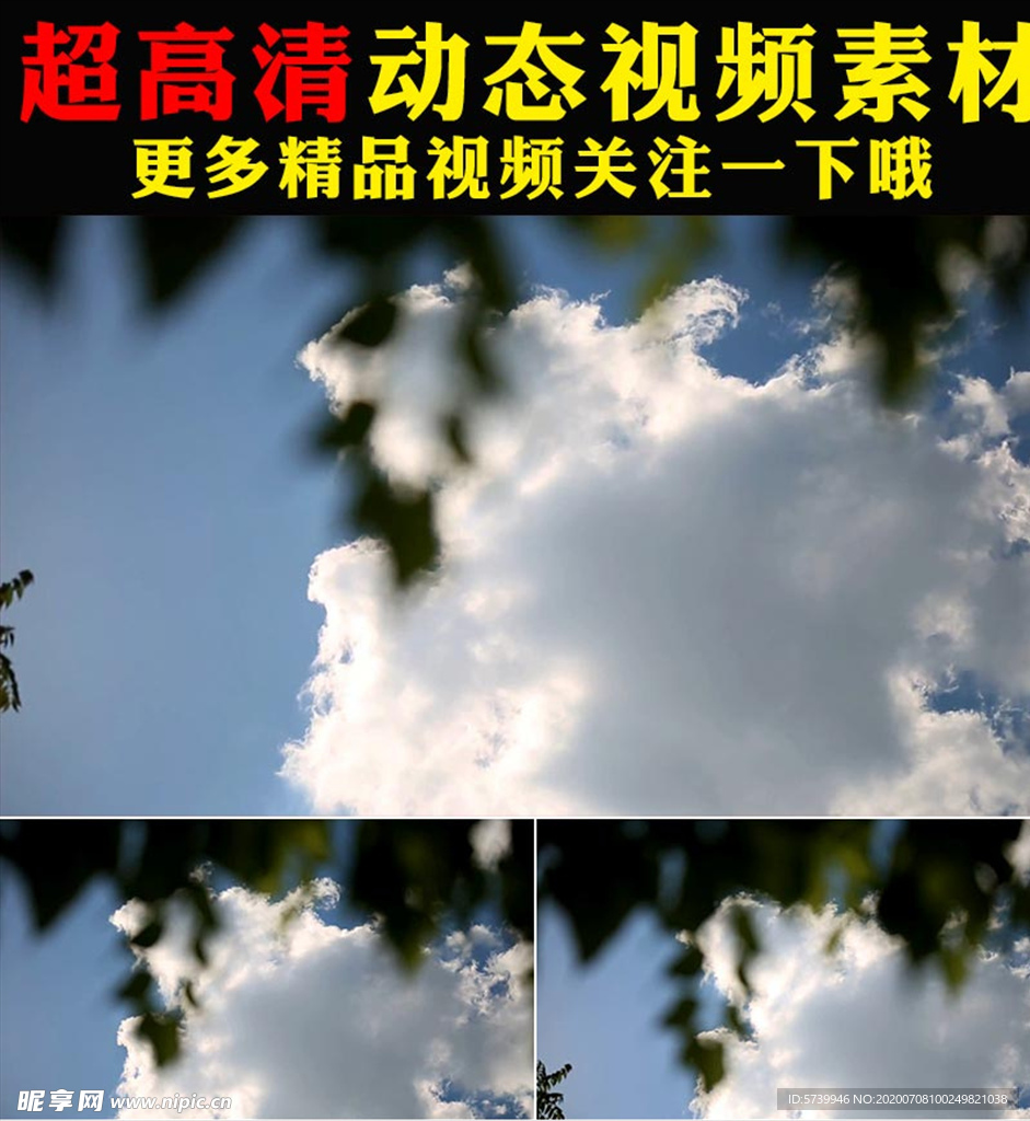 蓝天白云植物树叶空镜头视频素材