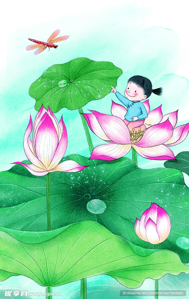 荷花夏季清新插画背景素材