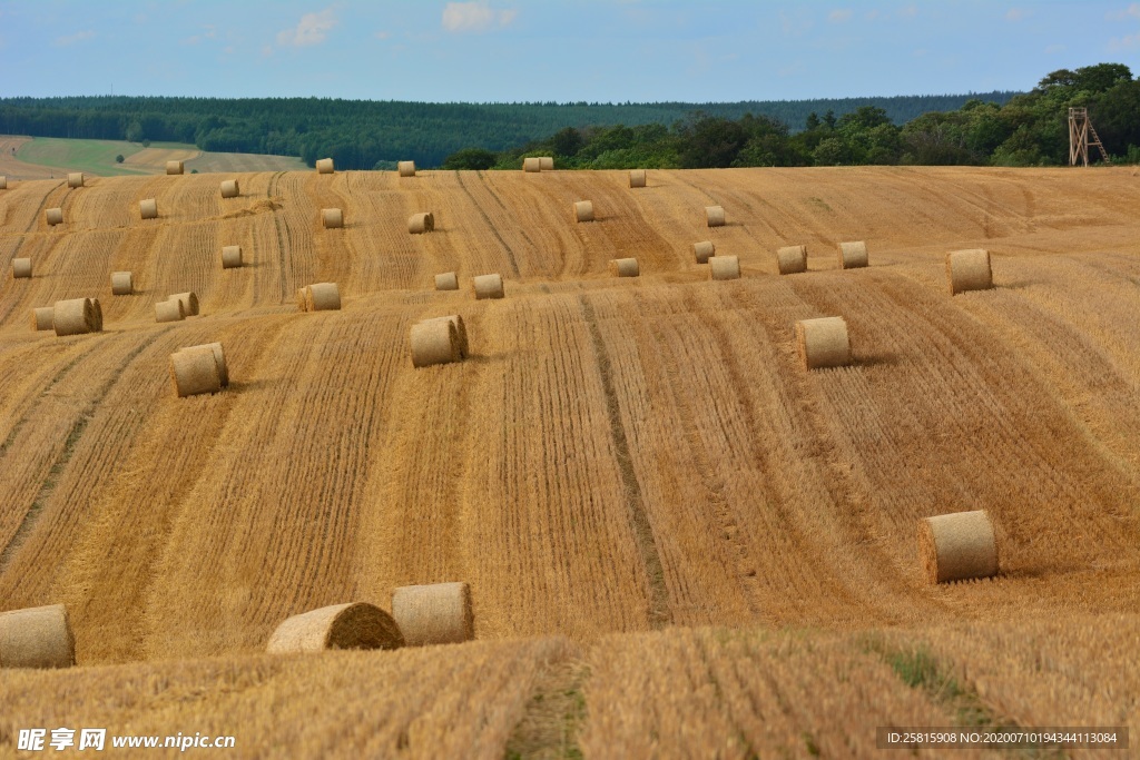 草垛
