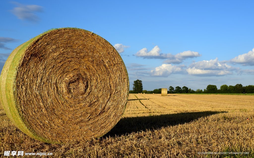 草垛