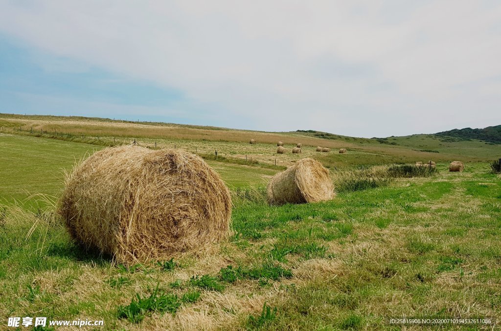 草垛