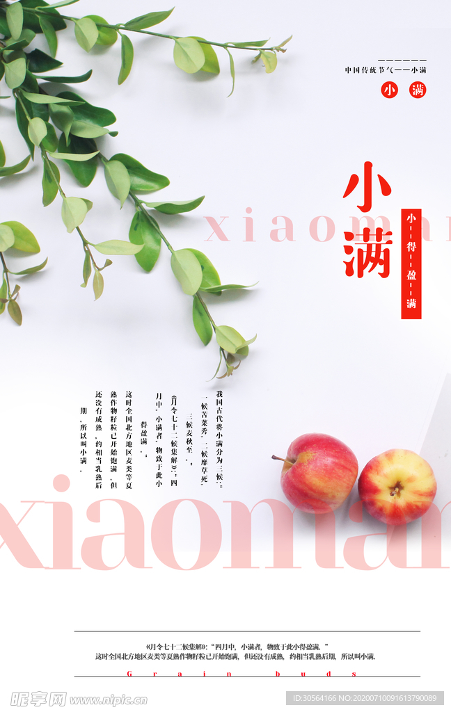 小满传统节日清新海报