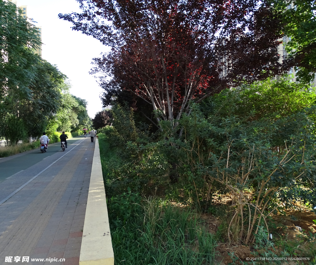 阳光人森林和谐