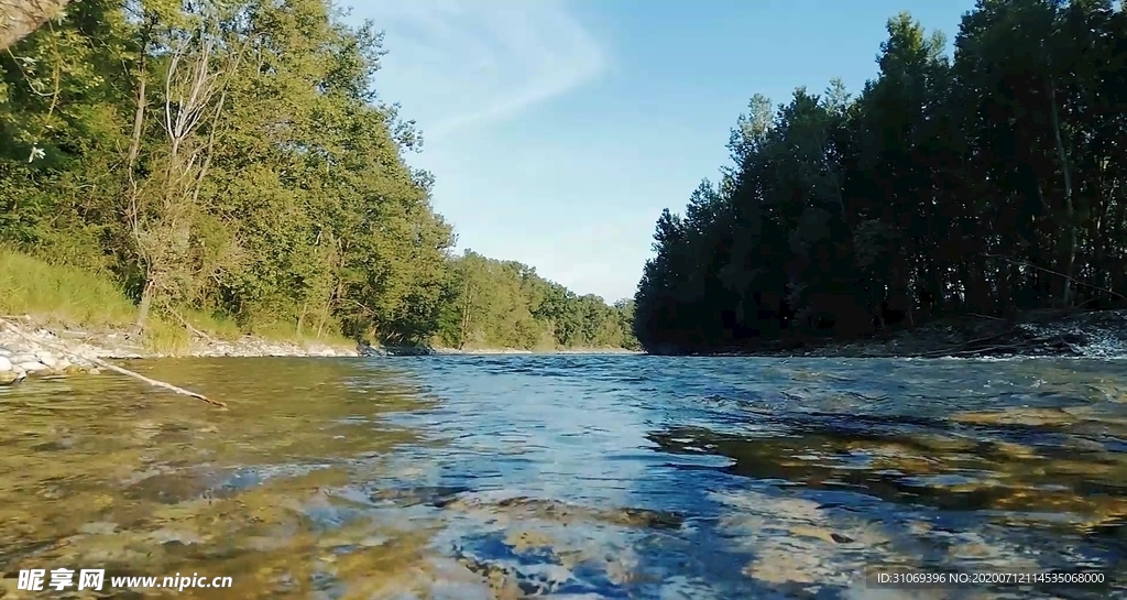 蓝天森林清澈河流