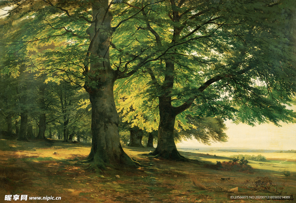 希施金树林风景油画