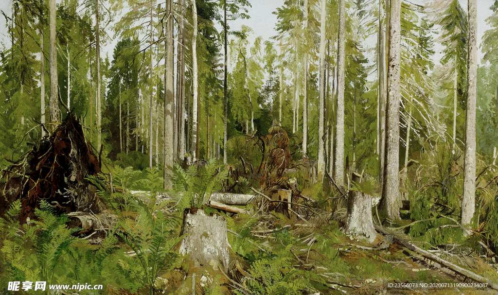 希施金树林风景油画