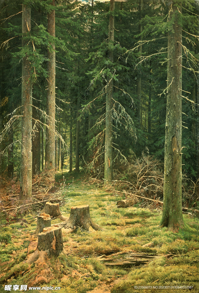 希施金树林风景油画