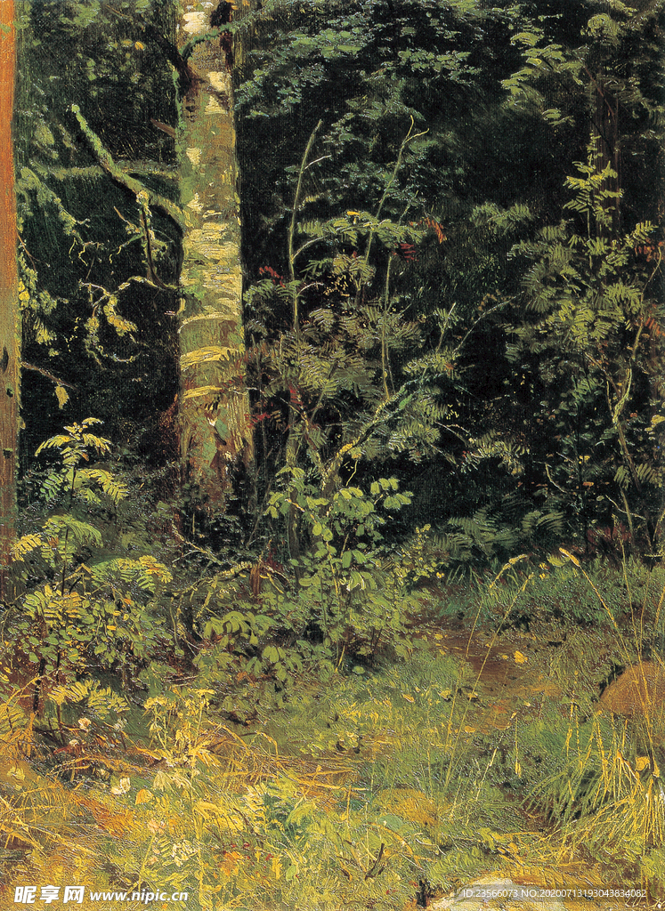 希施金树林风景油画