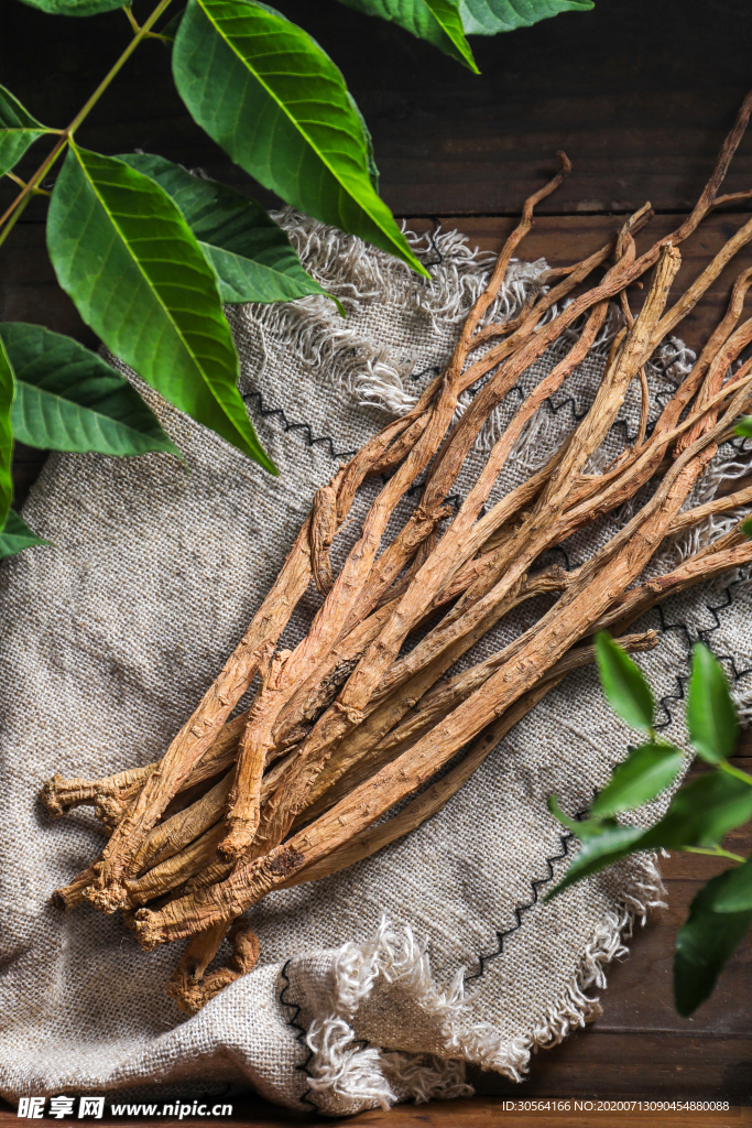 中药药材复古养生背景素材