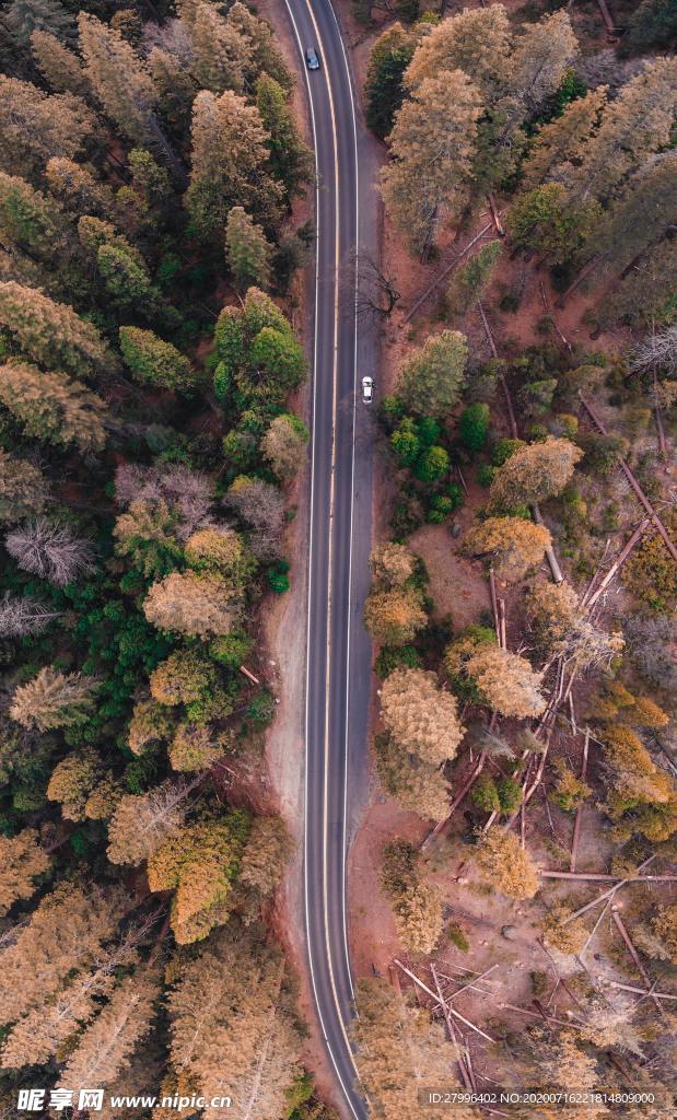 山水  森林一角 唯美  图片