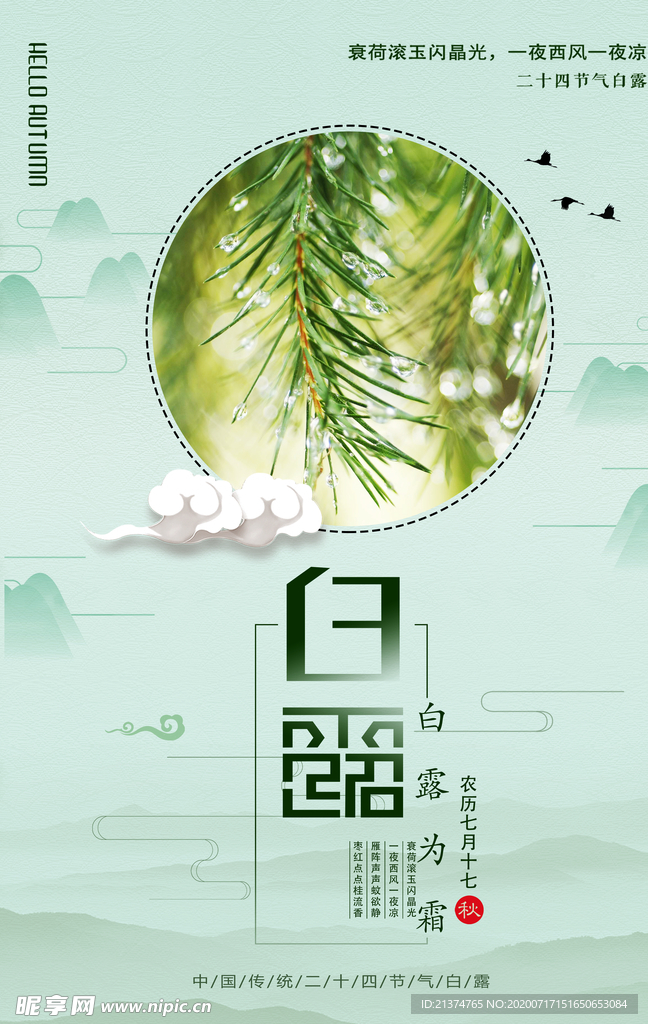 中国风传统节气白露海报