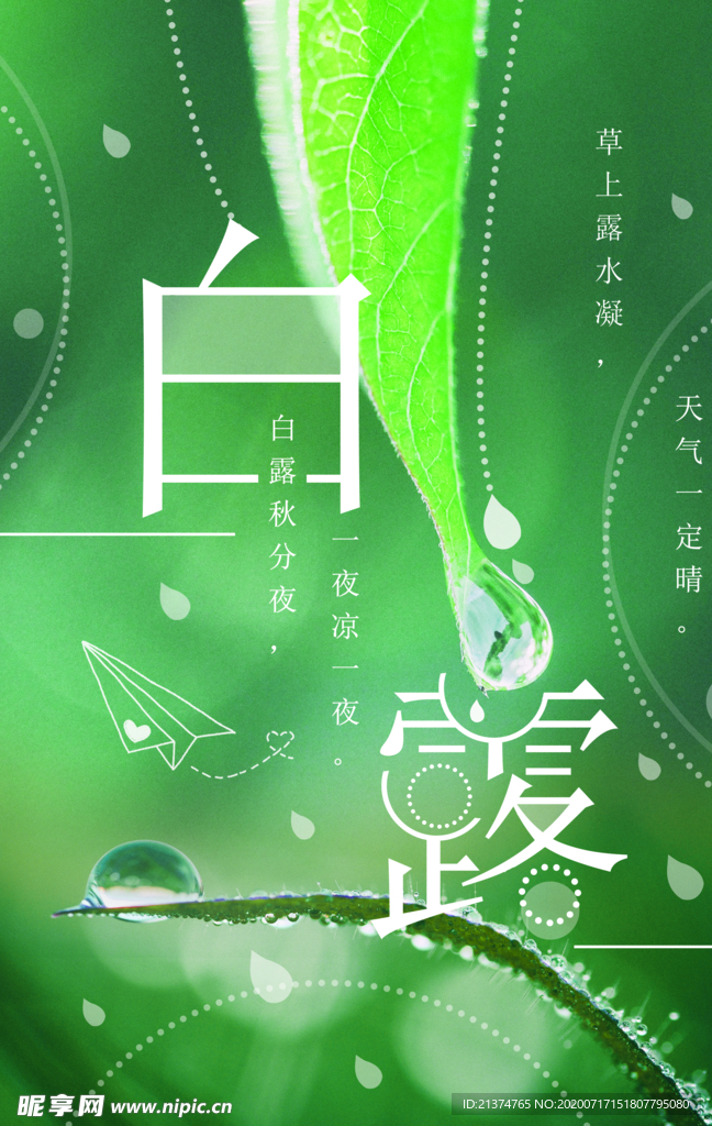 小清新白露节气海报