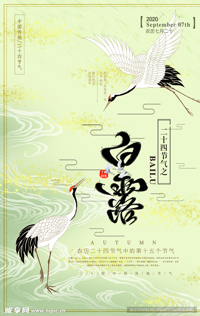 清新白露创意海报