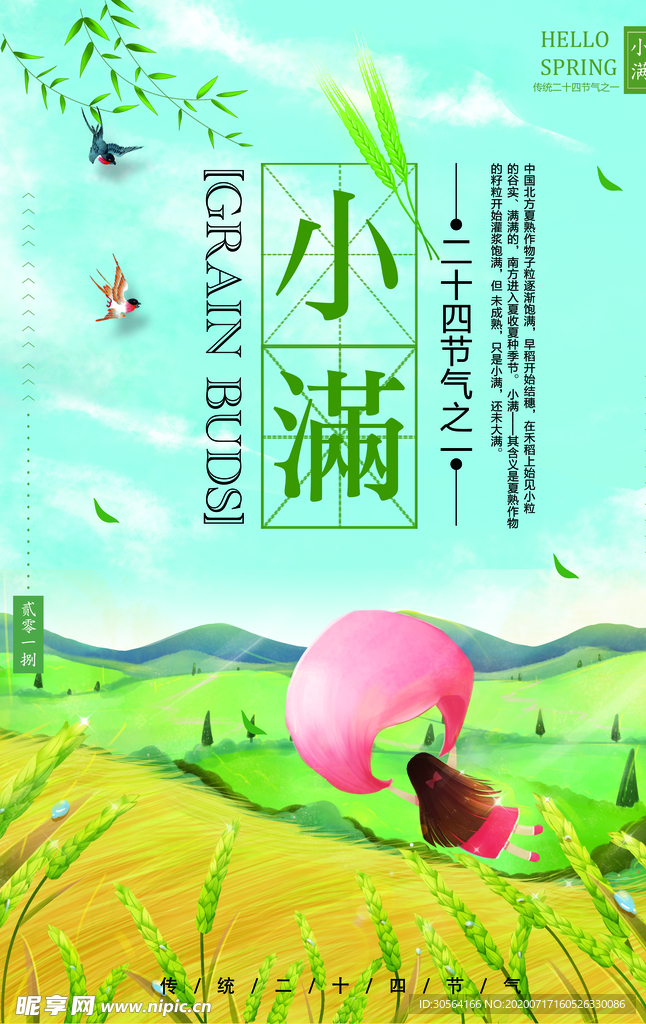 小满传统活动节气海报素材