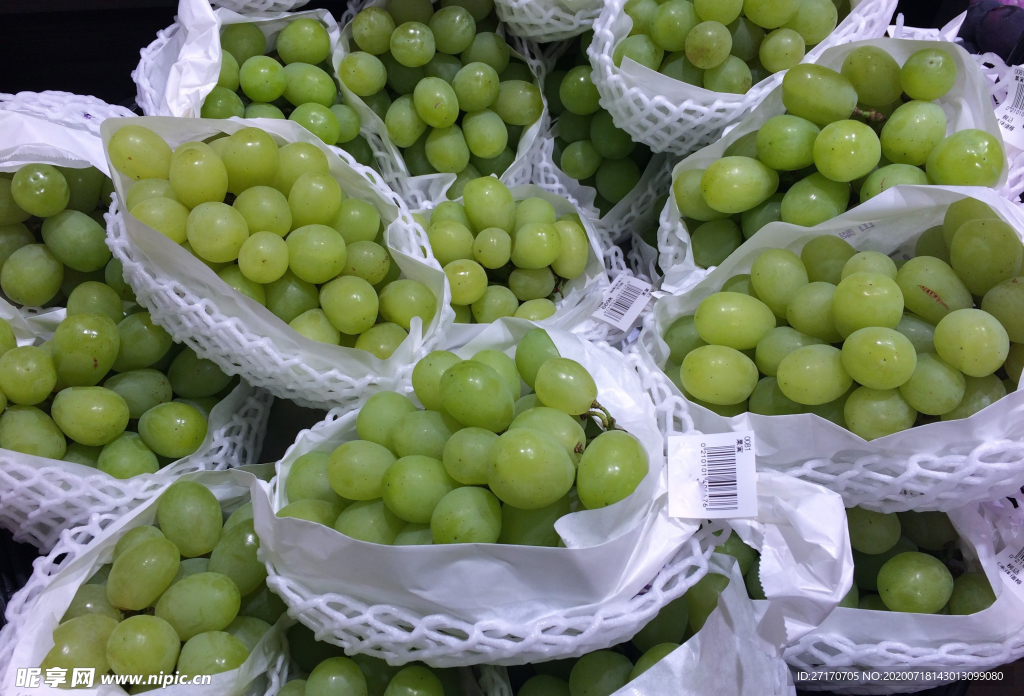 新鲜的葡萄素材