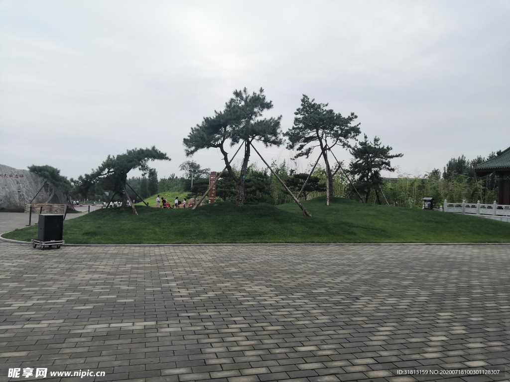 王屋山老街迎客松