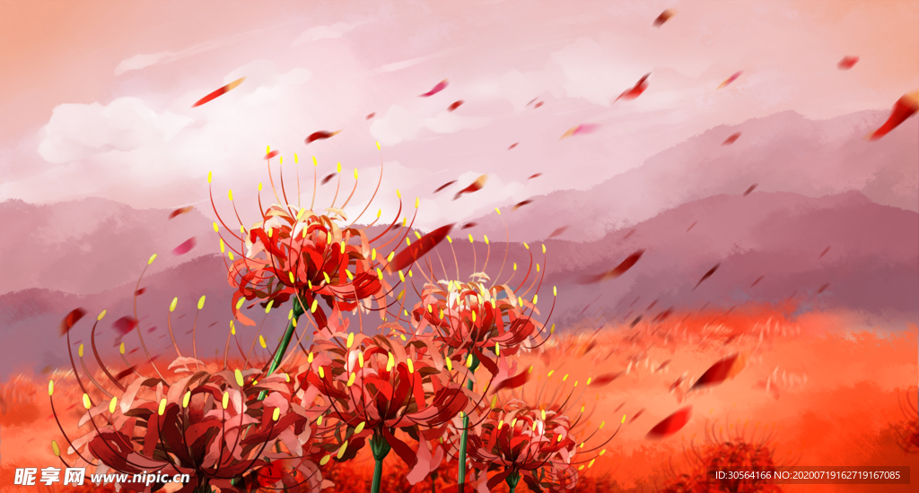 曼陀罗花唯美插画卡通素材