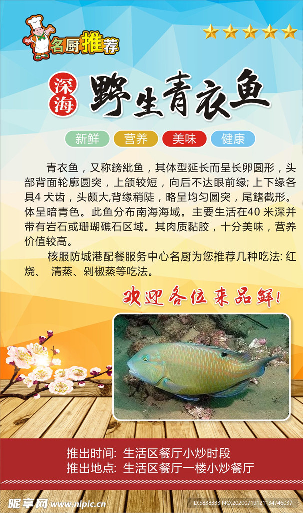 青衣鱼