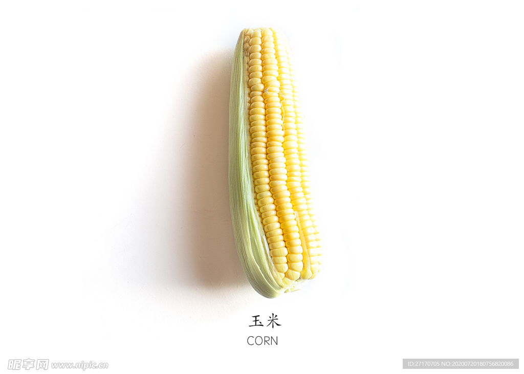 玉米免抠素材