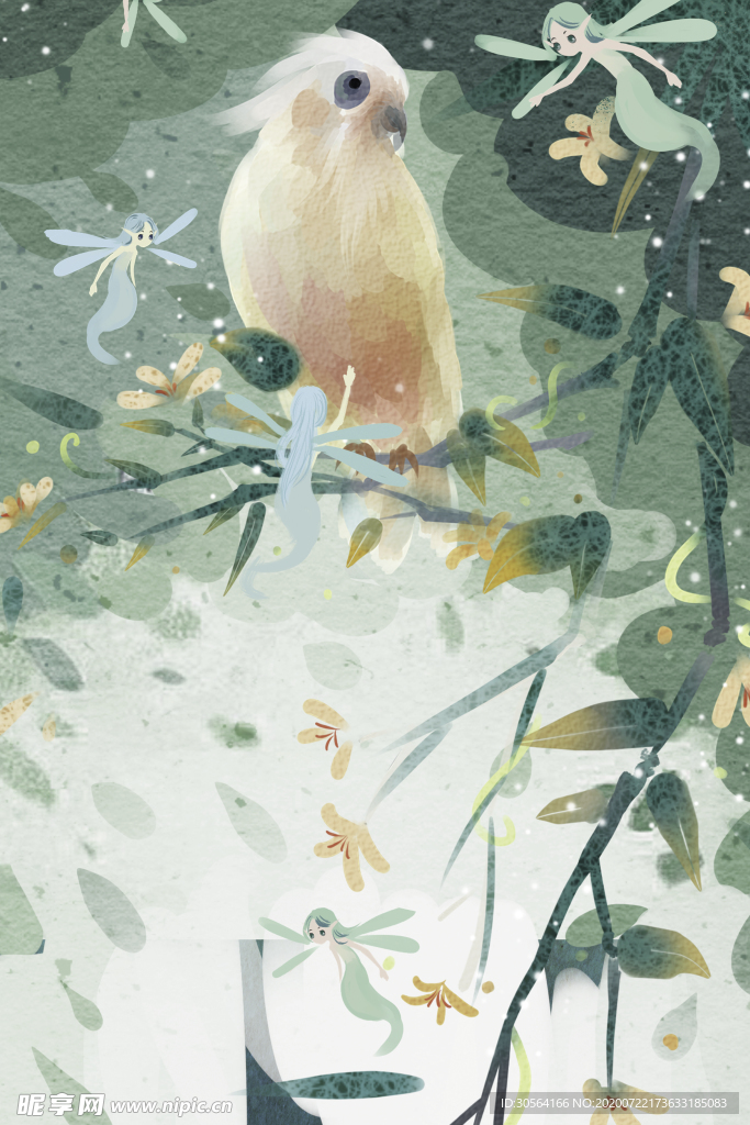 鹦鹉精灵清新插画背景素材
