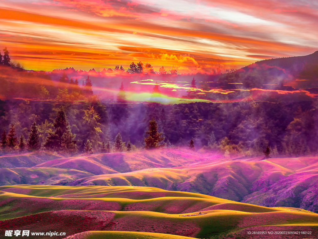 夕阳山丘森林树木晚霞风光